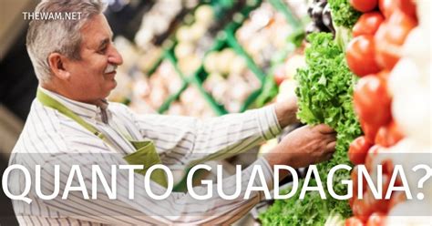 quanto guadagna uno scaffalista
